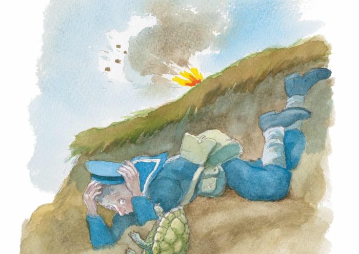 Ali Paşa adlı kaplumbağanın suluboya illüstrasyonu